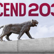 Ascend 2030 strategic plan