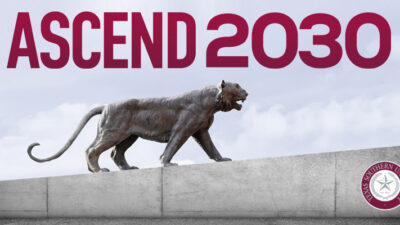Ascend 2030 strategic plan