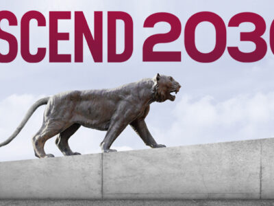 Ascend 2030 strategic plan
