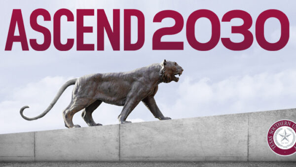 Ascend 2030 strategic plan