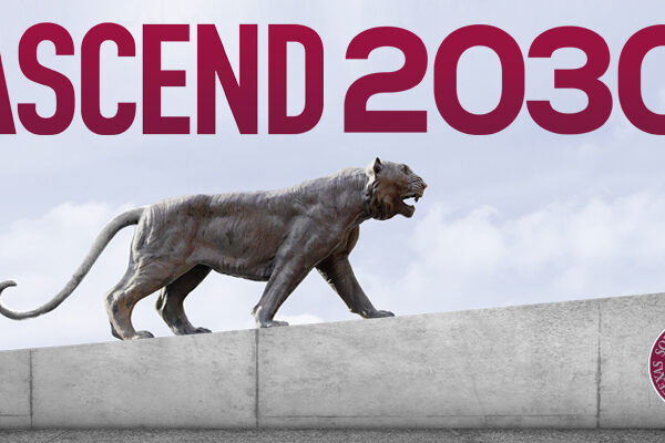 Ascend 2030 strategic plan
